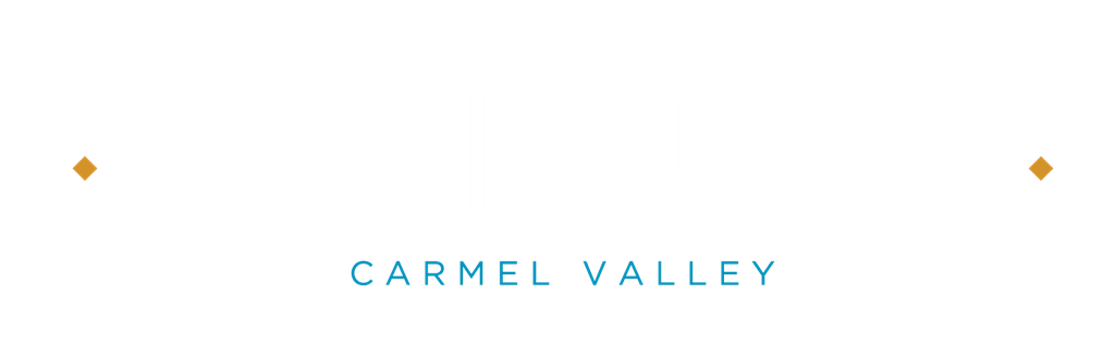 the logo with the words camel valley