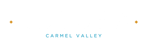 the logo with the words camel valley