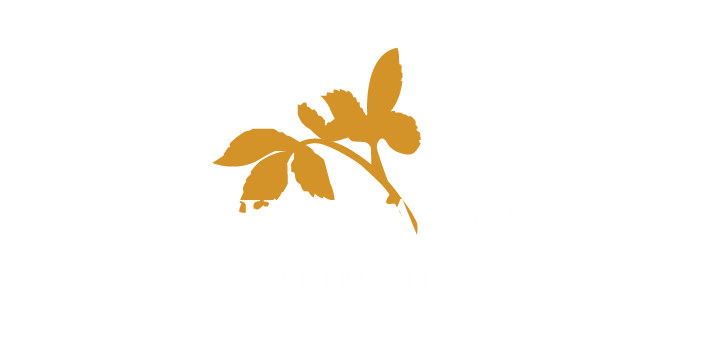 an image of a plant with leaves on a white background