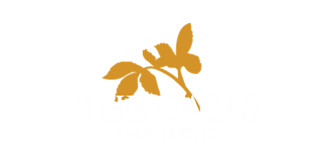 an image of a plant with leaves on a white background