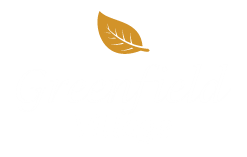 an illustration of an orange leaf on a white background