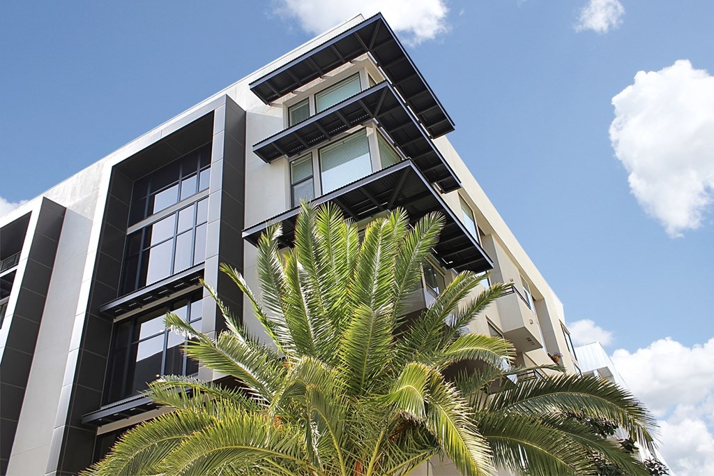 a black and white building with a palm tree in front of it