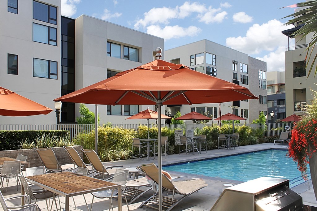 our apartments showcase an unique swimming pool