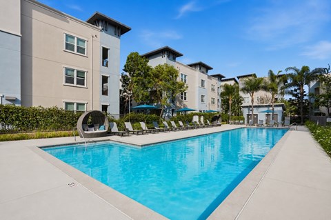 A swimming pool in front of apartment buildings.
