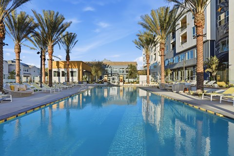 A large swimming pool surrounded by palm trees and lounge chairs.