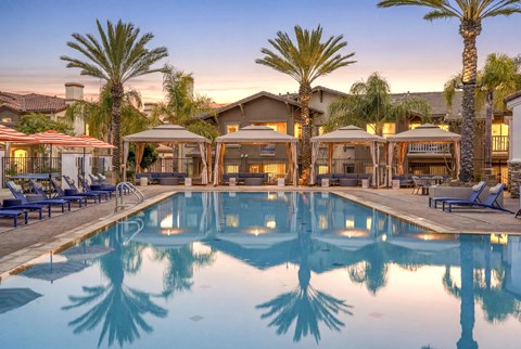 A large swimming pool surrounded by palm trees and lounge chairs.