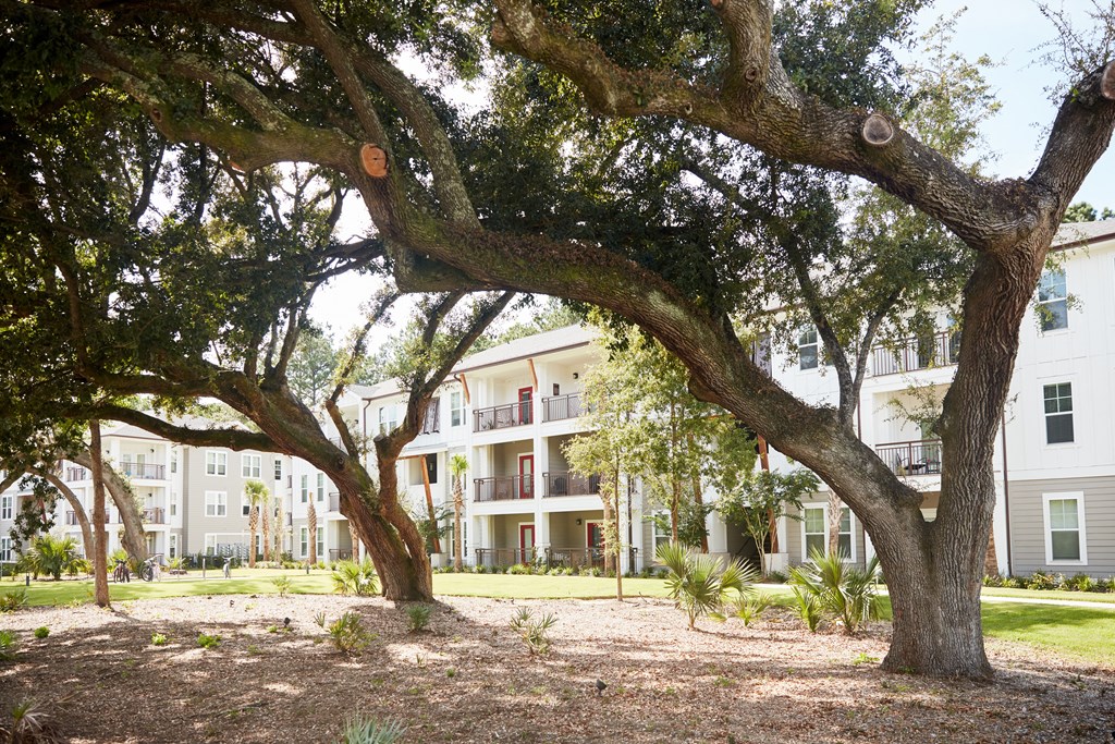 Exterior courtyard area with oak trees