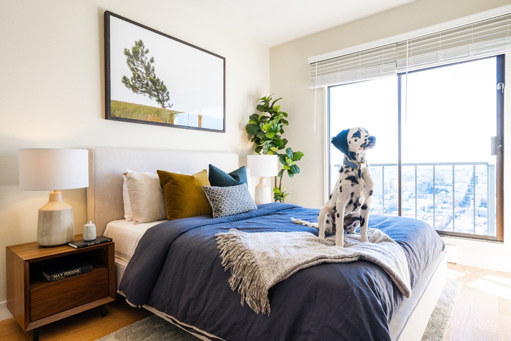 Nob Hill Tower Apartments, 1221 Jones St., San Francisco, CA RentCafe