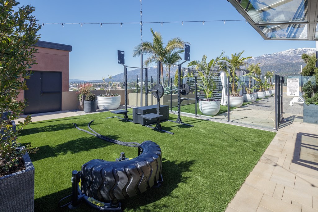 a view of the roof top playground with a large tire swing in the middle of the grass