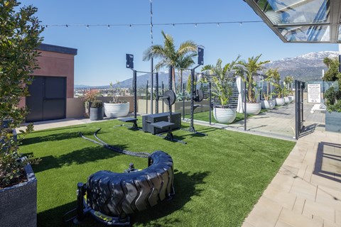 a view of the roof top playground with a large tire swing in the middle of the grass