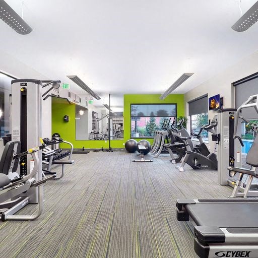 gym at Alvista Nine Mile, Asheville, NC 28803