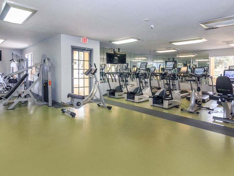 Apartments for Rent in Orlando, FL | Fourteen01 Apartments