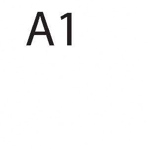 A1