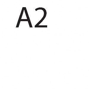 A2