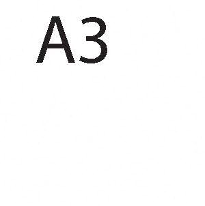A3