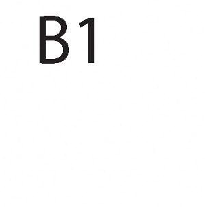 B1