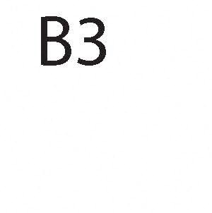 B3