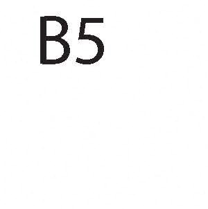 B5