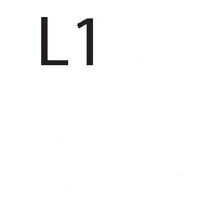 L1