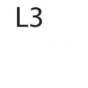 L3
