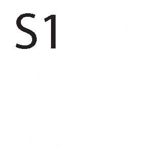 S1