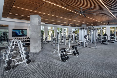 gym equipment