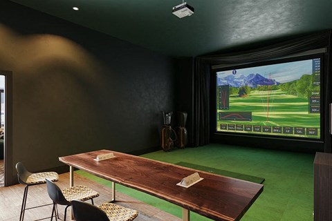 golf simulator