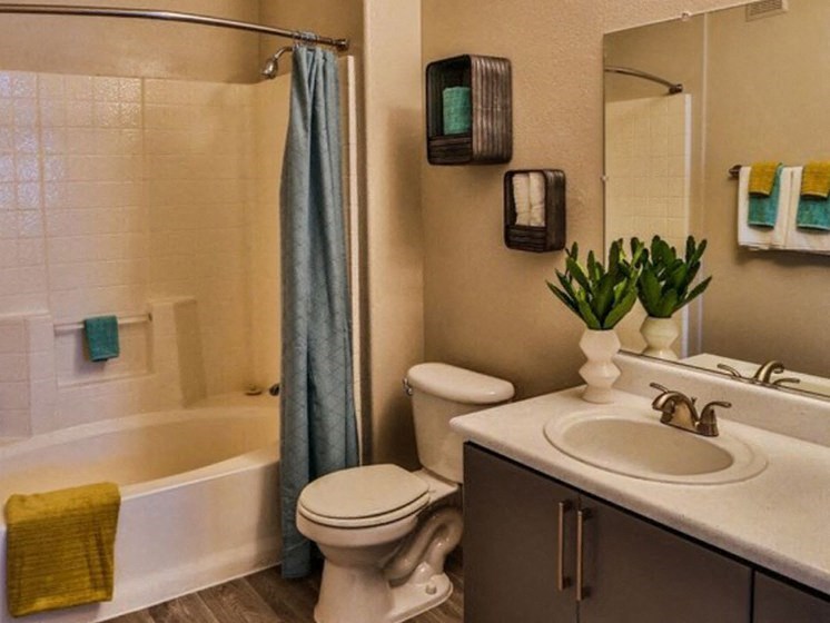 Luxurious Bathroom at Solitude at Centennial, Las Vegas, NV, 89131