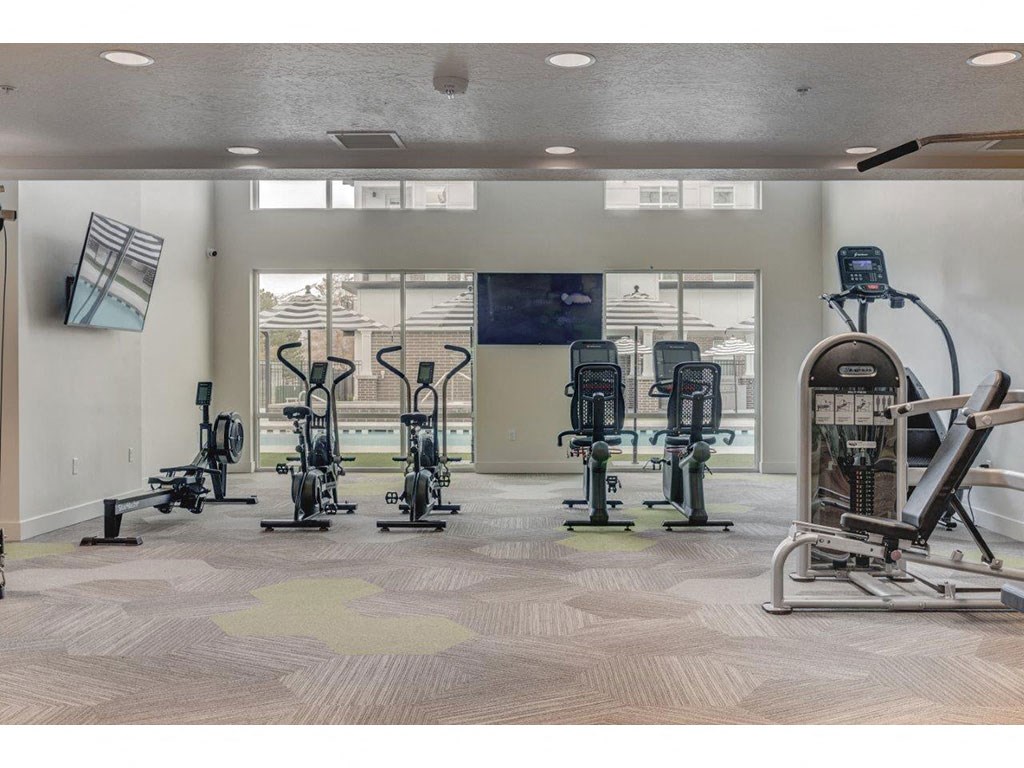 the gym is equipped with cardio machines and weights