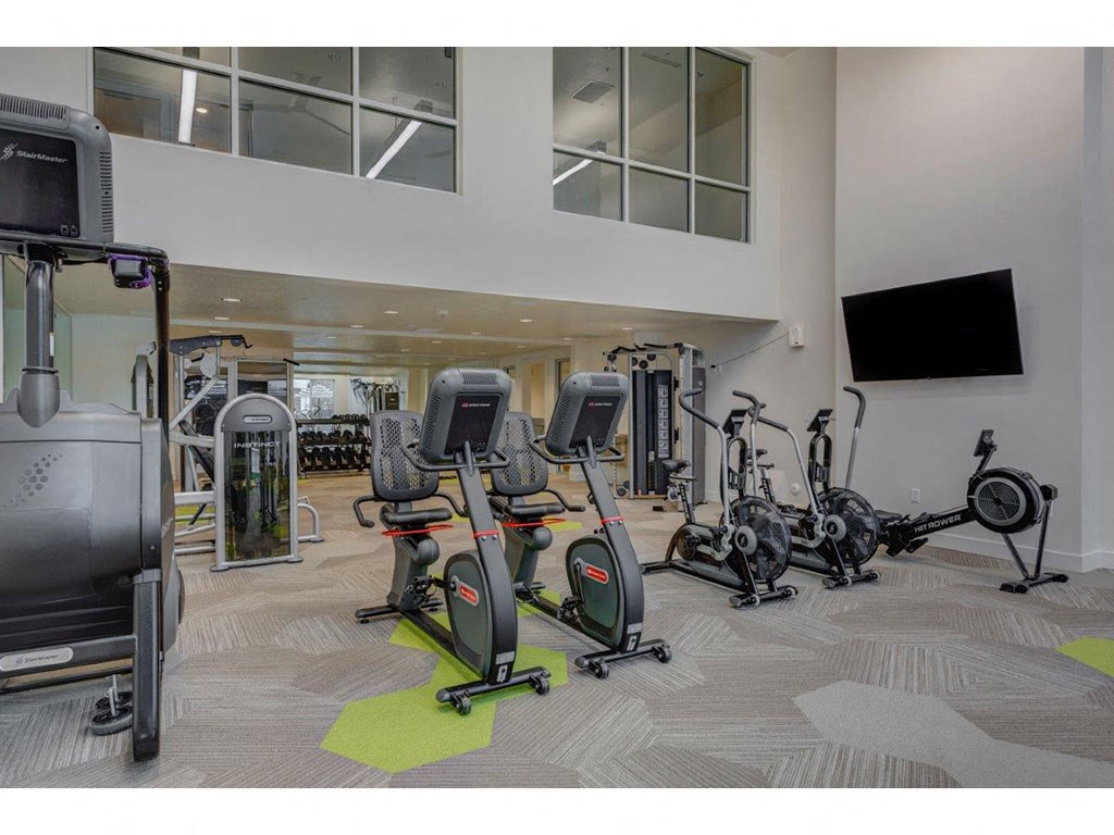 the gym is equipped with state of the art equipment