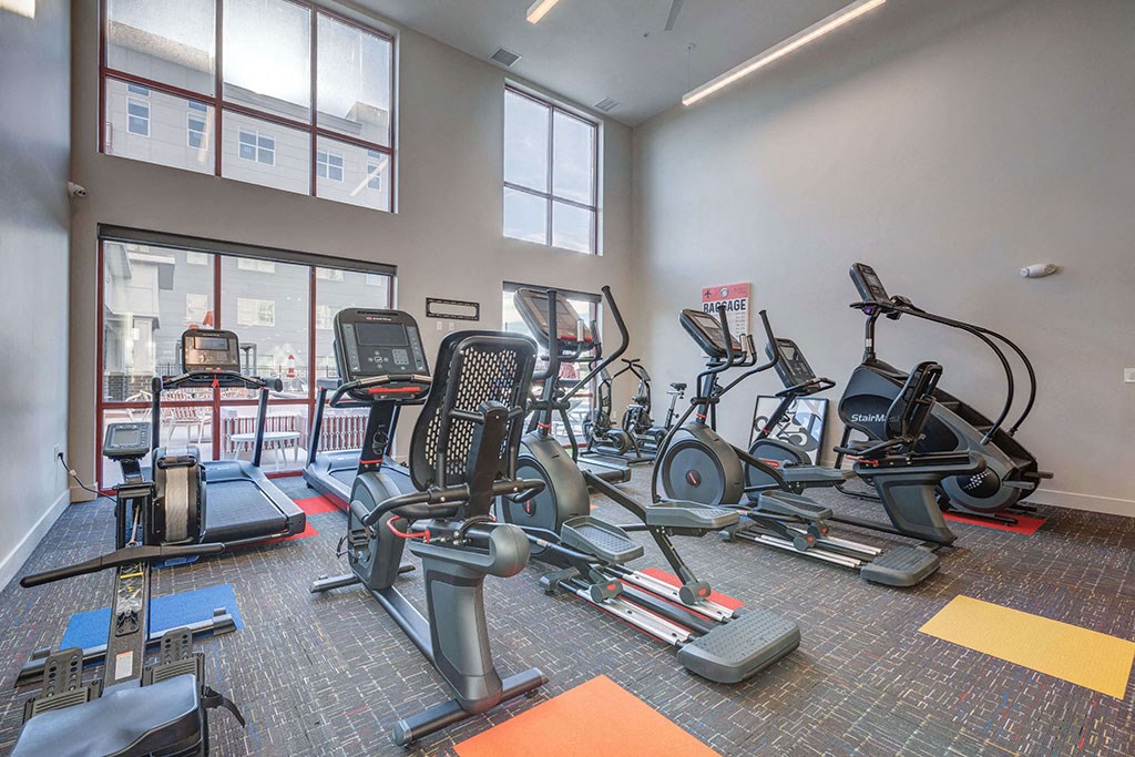 a gym with cardio equipment and windows at the district at highland village apartments
