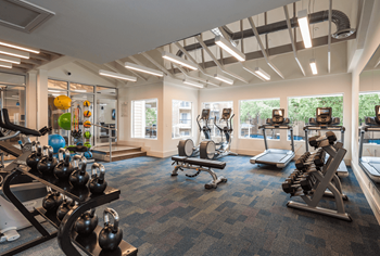 gym - Photo Gallery 6