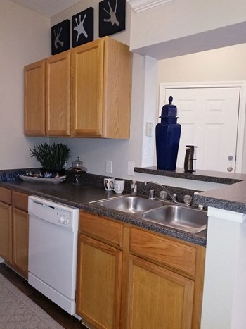 5555 New Territory Blvd 1-3 Beds Apartment for Rent - Photo Gallery 5
