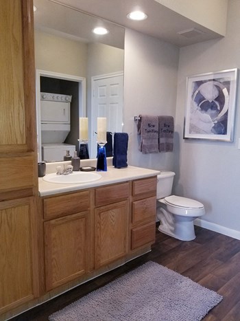5555 New Territory Blvd 1-3 Beds Apartment for Rent - Photo Gallery 4