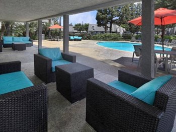 Resort Style Pool - Photo Gallery 4