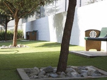 green belt - Photo Gallery 3