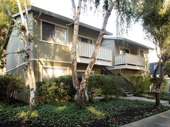 498 Boynton Avenue 1-2 Beds Apartment for Rent - Photo Gallery 4