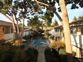 498 Boynton Avenue 1-2 Beds Apartment for Rent - Photo Gallery 2