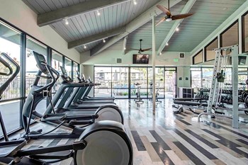 Gym - Photo Gallery 27