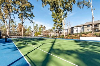 Tennis Court - Photo Gallery 29