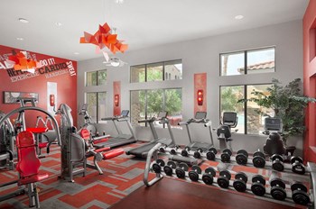24 hour fitness center with cardio equipment and weights - Photo Gallery 12