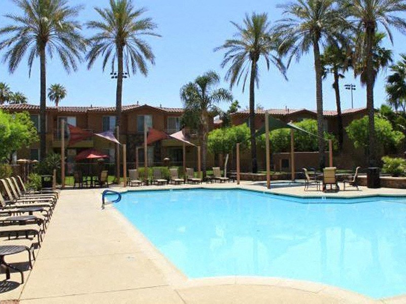 pool with palm tress
