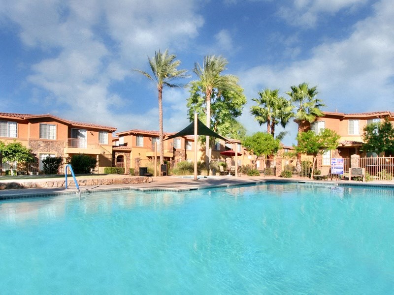 pool with palm tress
