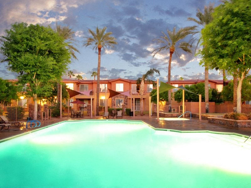 pool with palm tress