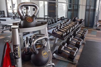 Gym - Photo Gallery 18
