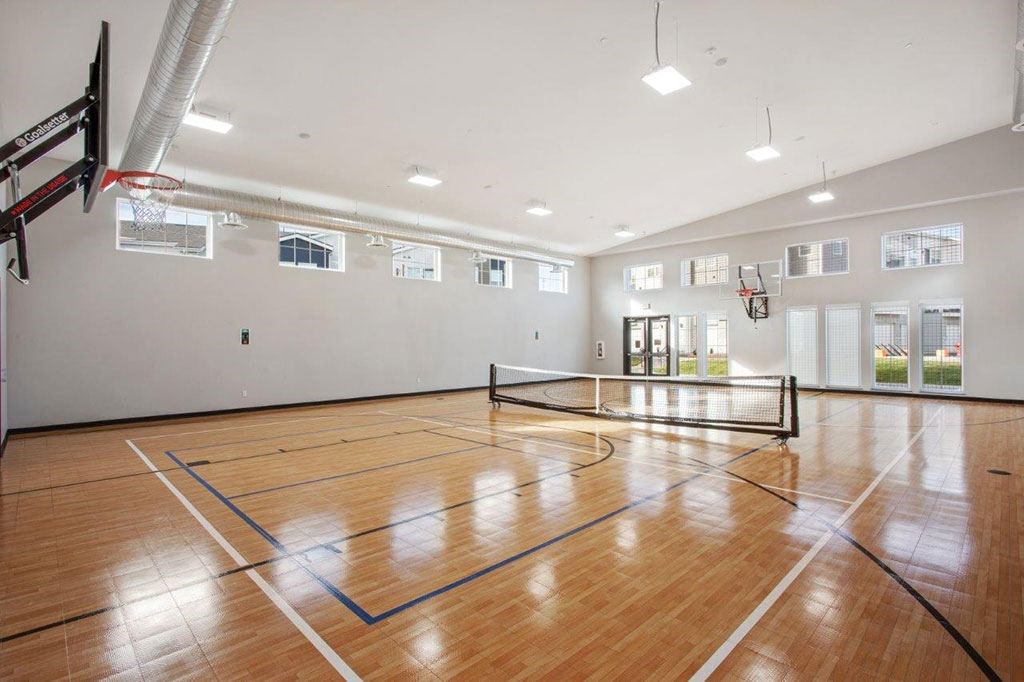 Basket Ball Court