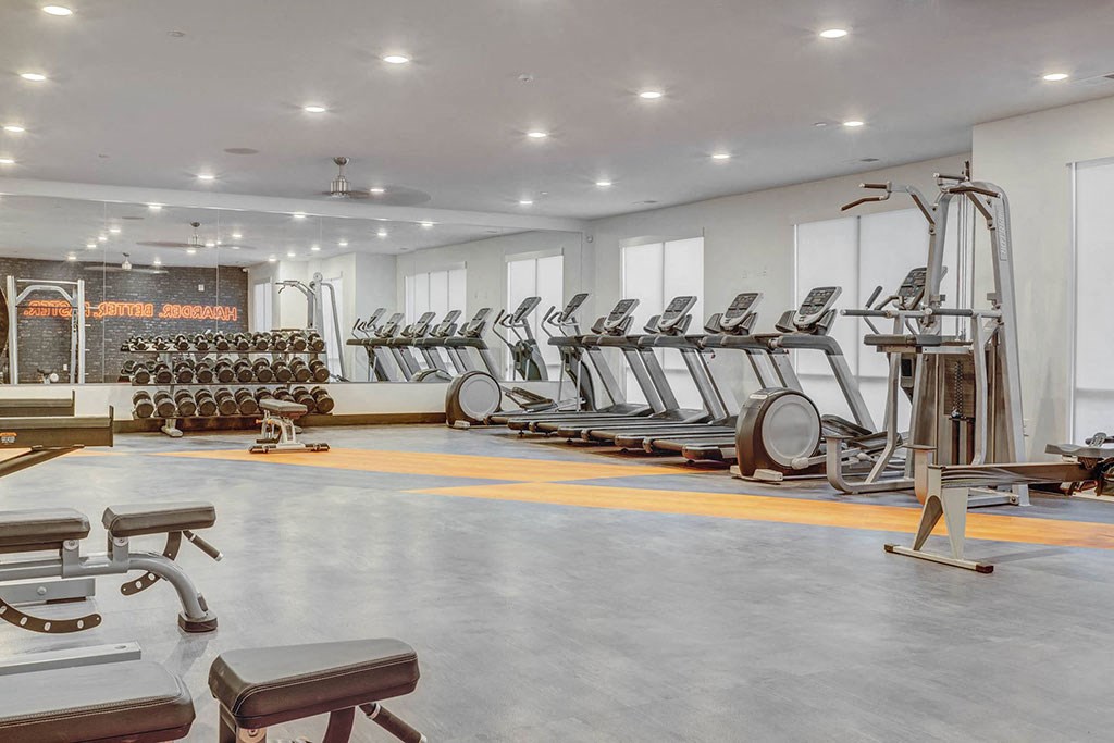 a gym with cardio equipment and weights in a building