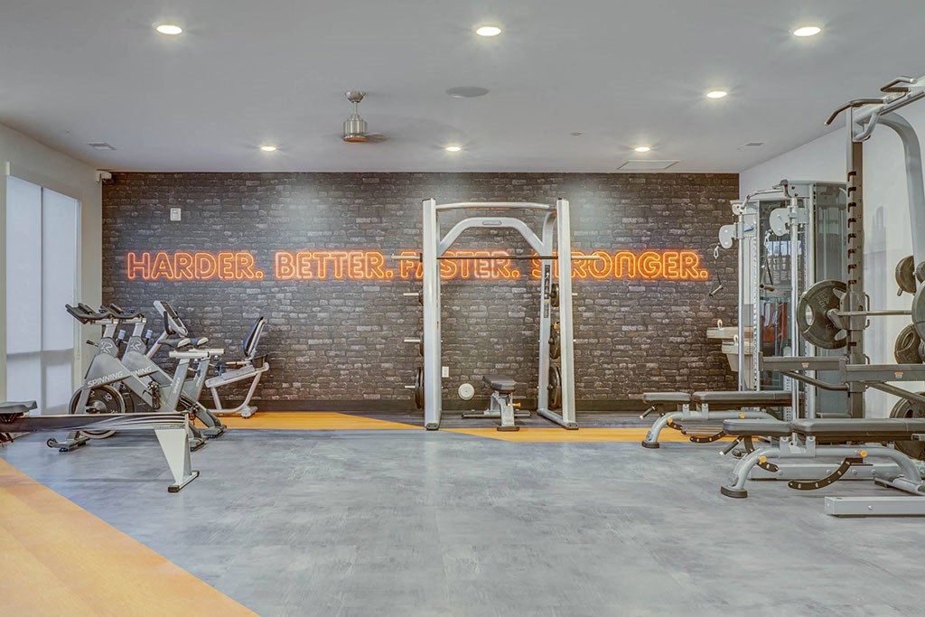 a gym with weights and a brick wall