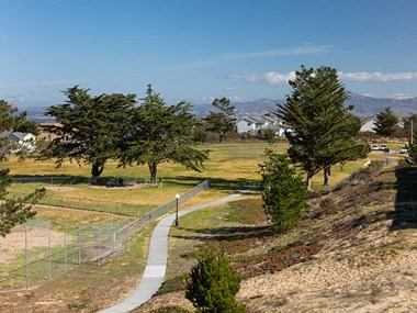 hills, trees, pathway