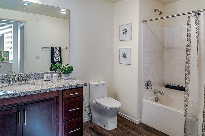 Apartment Bathroom